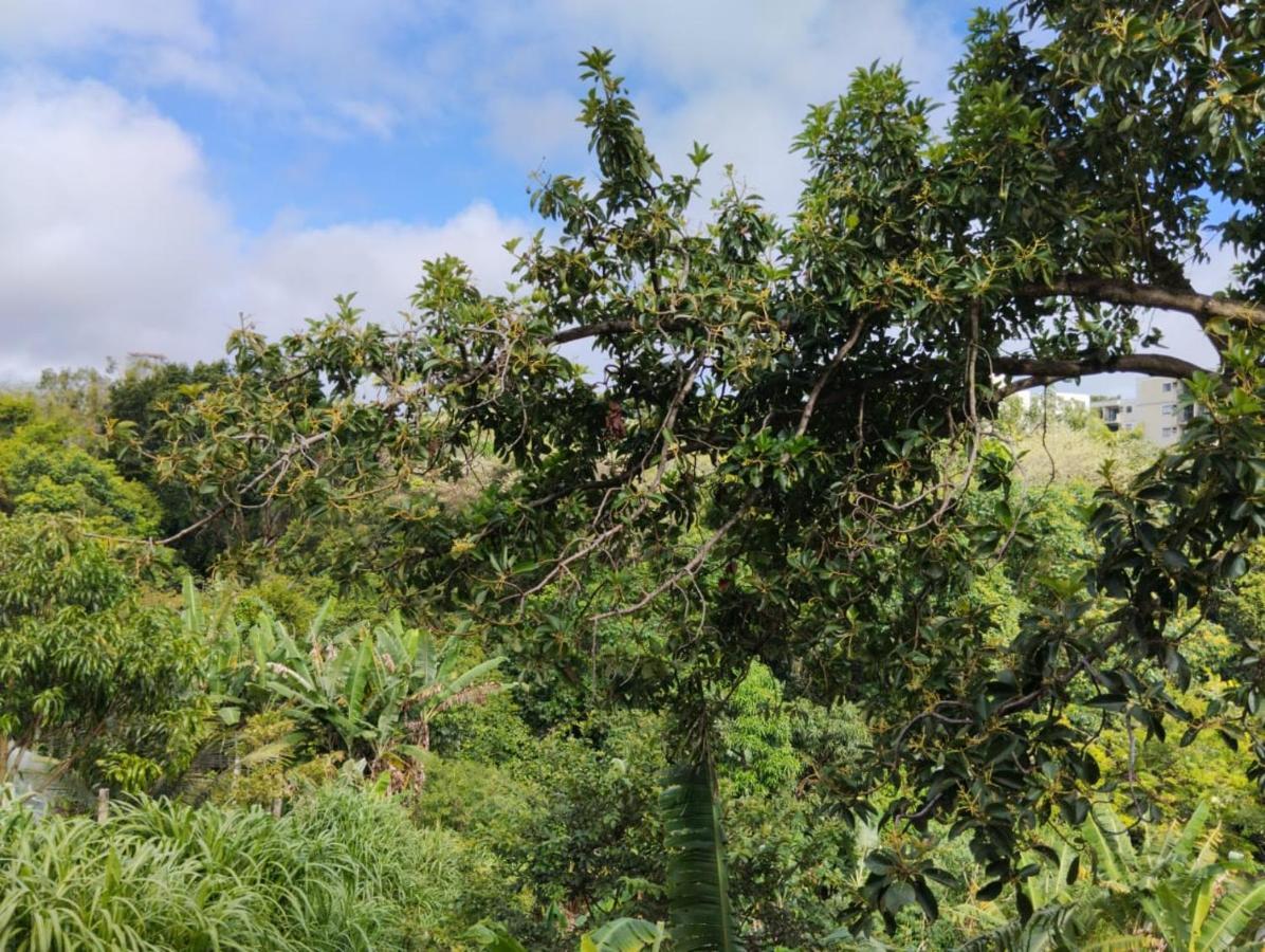 Maceió Apartamento Cercado Por Natureza E Diversao מראה חיצוני תמונה
